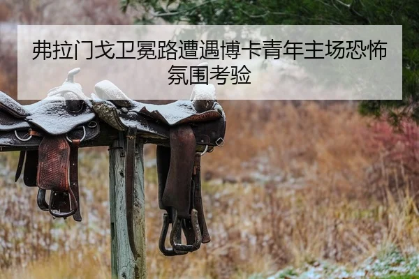 fu-la-men-ge-wei-mian-lu-zao-yu-bo-ka-qing-nian-zhu-chang-kong-bu-fen-wei-kao-yan-1-879.jpg