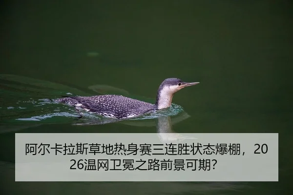 a-er-ka-la-si-cao-di-re-shen-sai-san-lian-sheng-zhuang-tai-bao-peng-wen-wang-wei-mian-zhi-lu-qian-jing-ke-qi-2-979.jpg